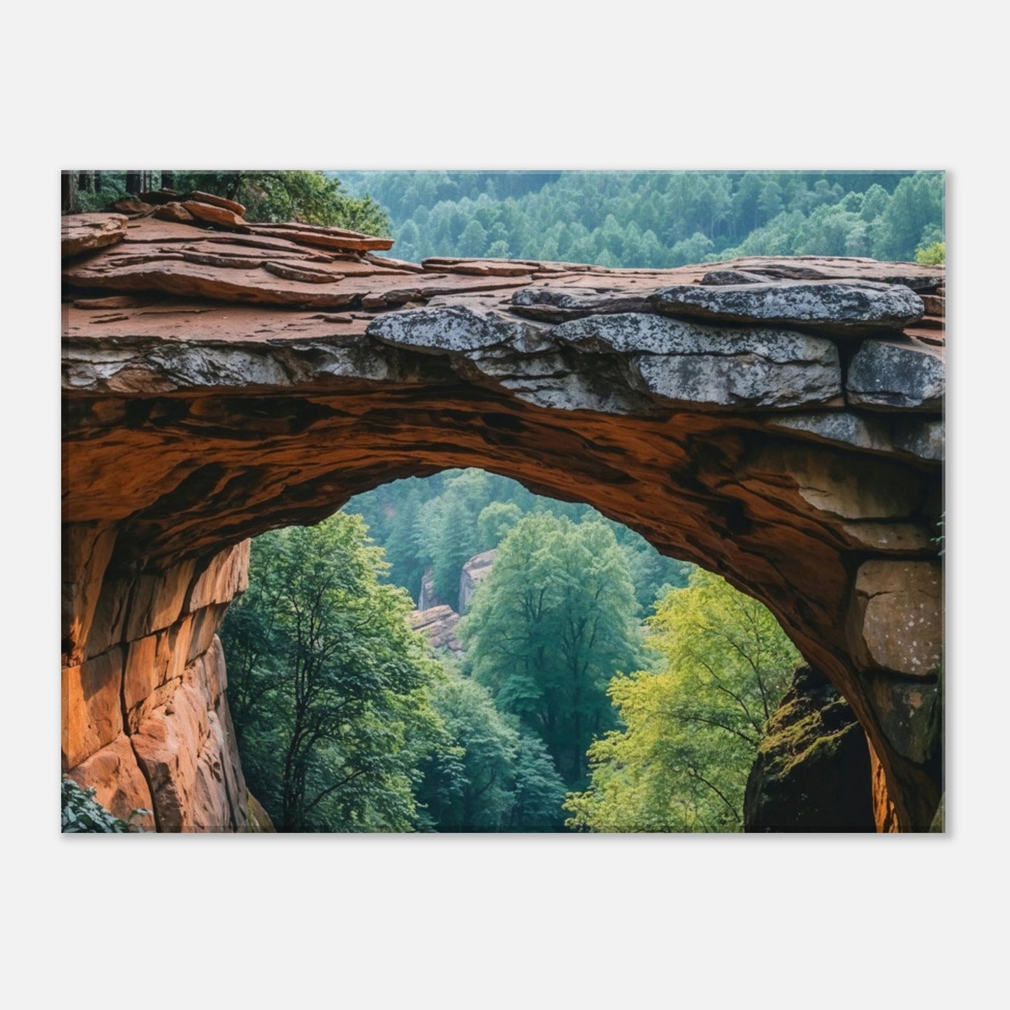 13a70e5f-cc85-4b6d-9df1-8451b28e2885