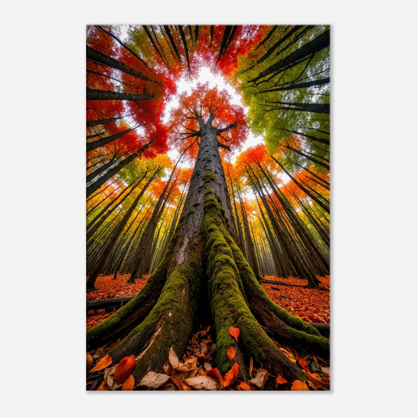 1fc18e4c-3163-4d93-bdcf-c1bc3a8fb211