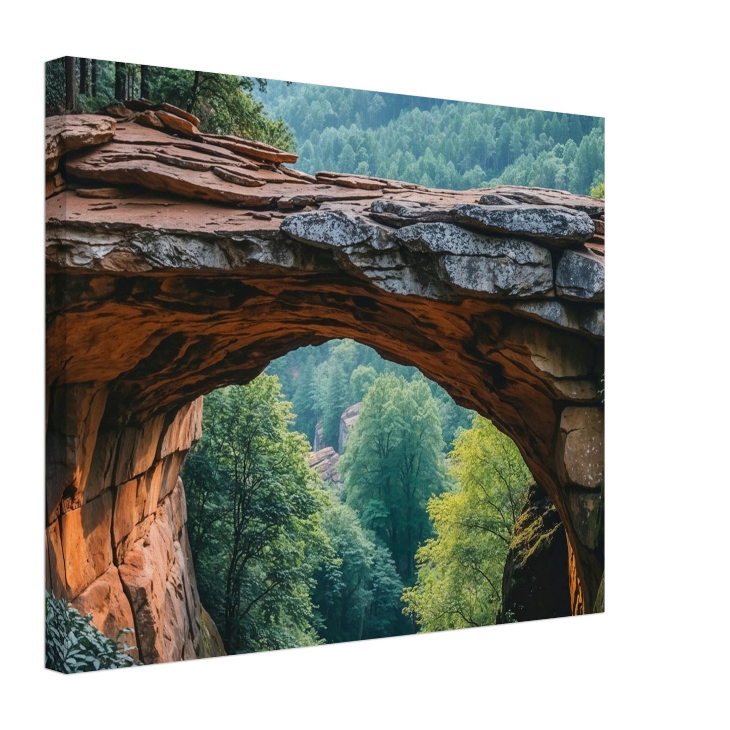 389ecca0-8ef0-4c22-9b4a-c638e82f8ff7