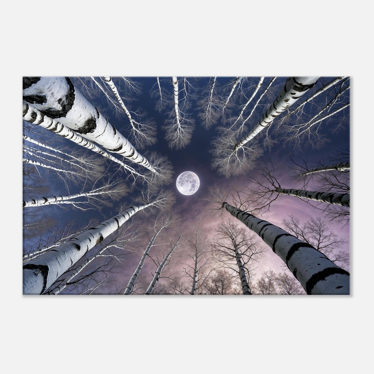 4a955119-0b78-46b1-864b-efb194f881fb