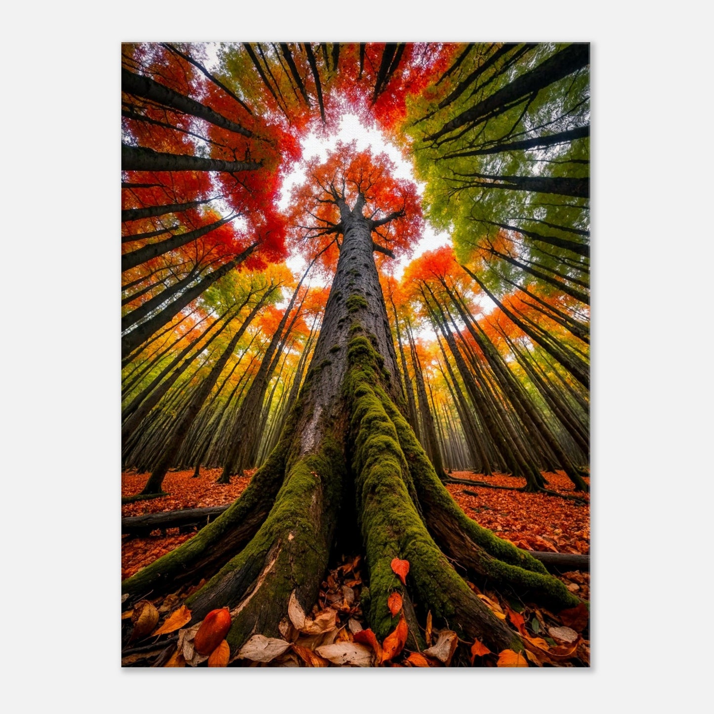 4be33968-2e07-4bfe-8b31-03e78f65c53b