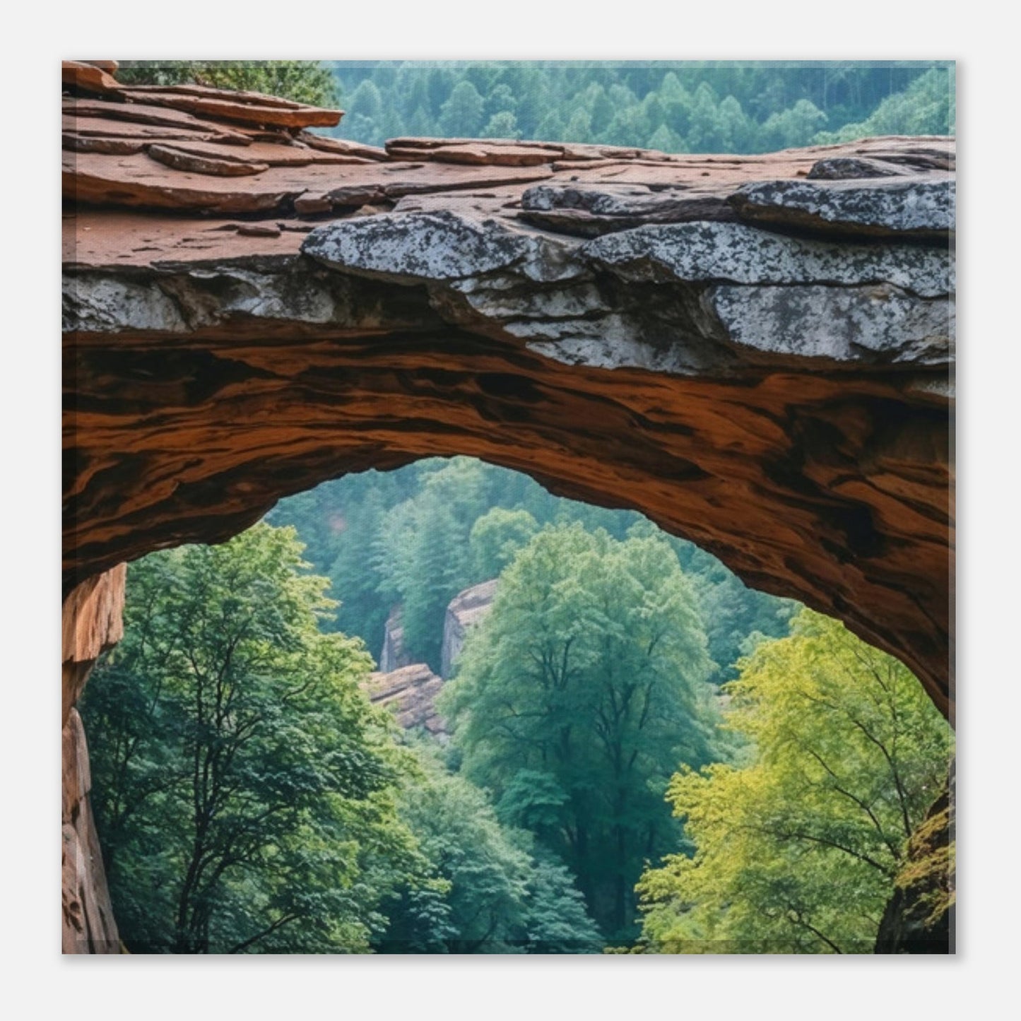 53b163b4-b340-4677-818e-1225ccaaa66a