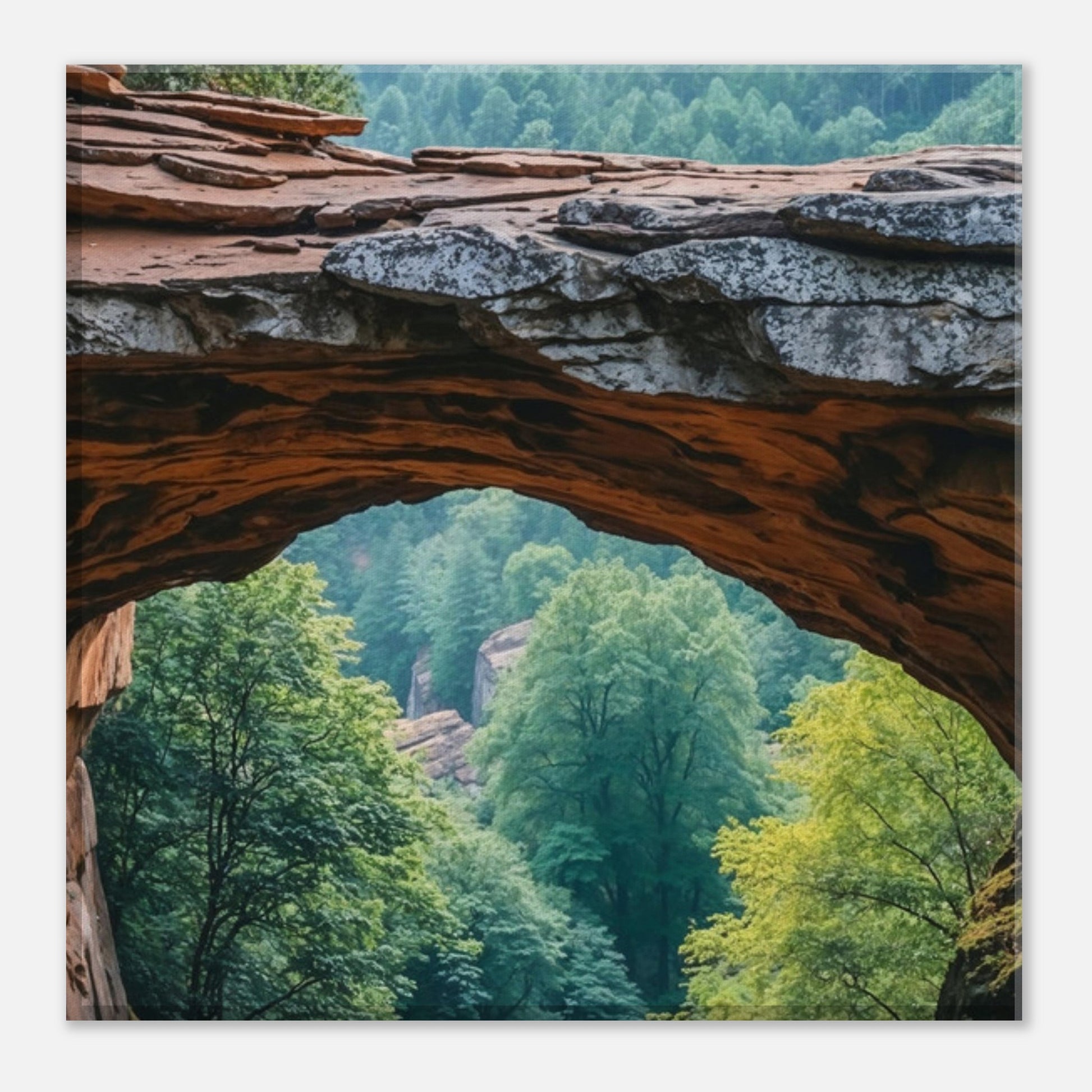 53b163b4-b340-4677-818e-1225ccaaa66a