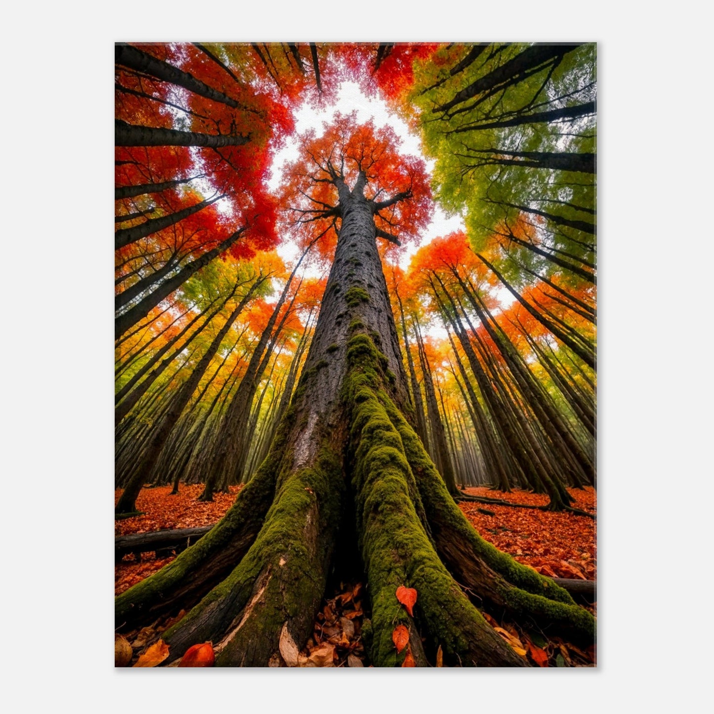 597a4b86-822b-416d-970a-6207b3f32041