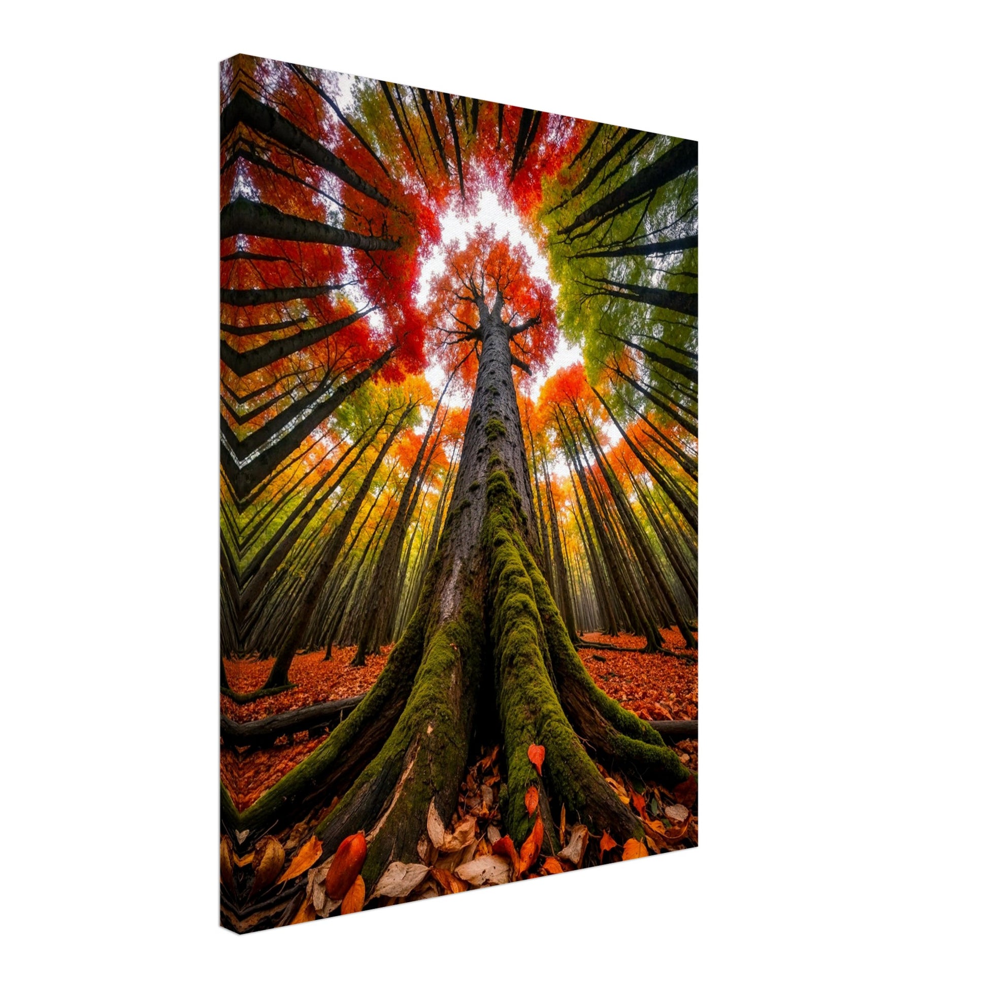 68b737ef-a03d-4037-b927-646db7216fde