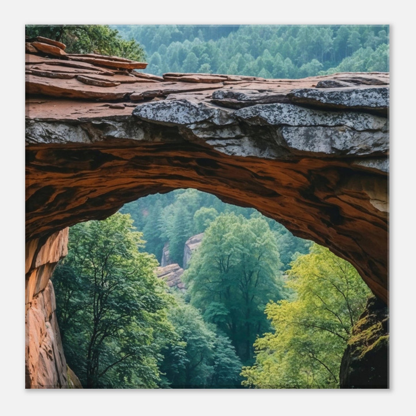 b941bb85-5776-4346-86d1-371bf1d0673d