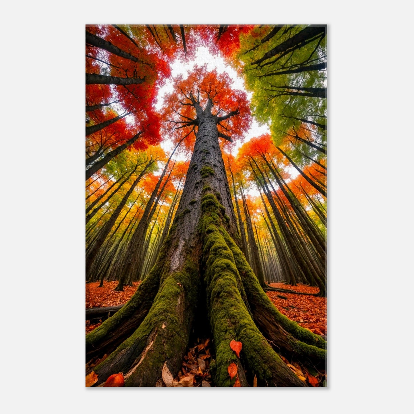 bcf701e8-636f-42e2-9a76-6d6b7232e13f