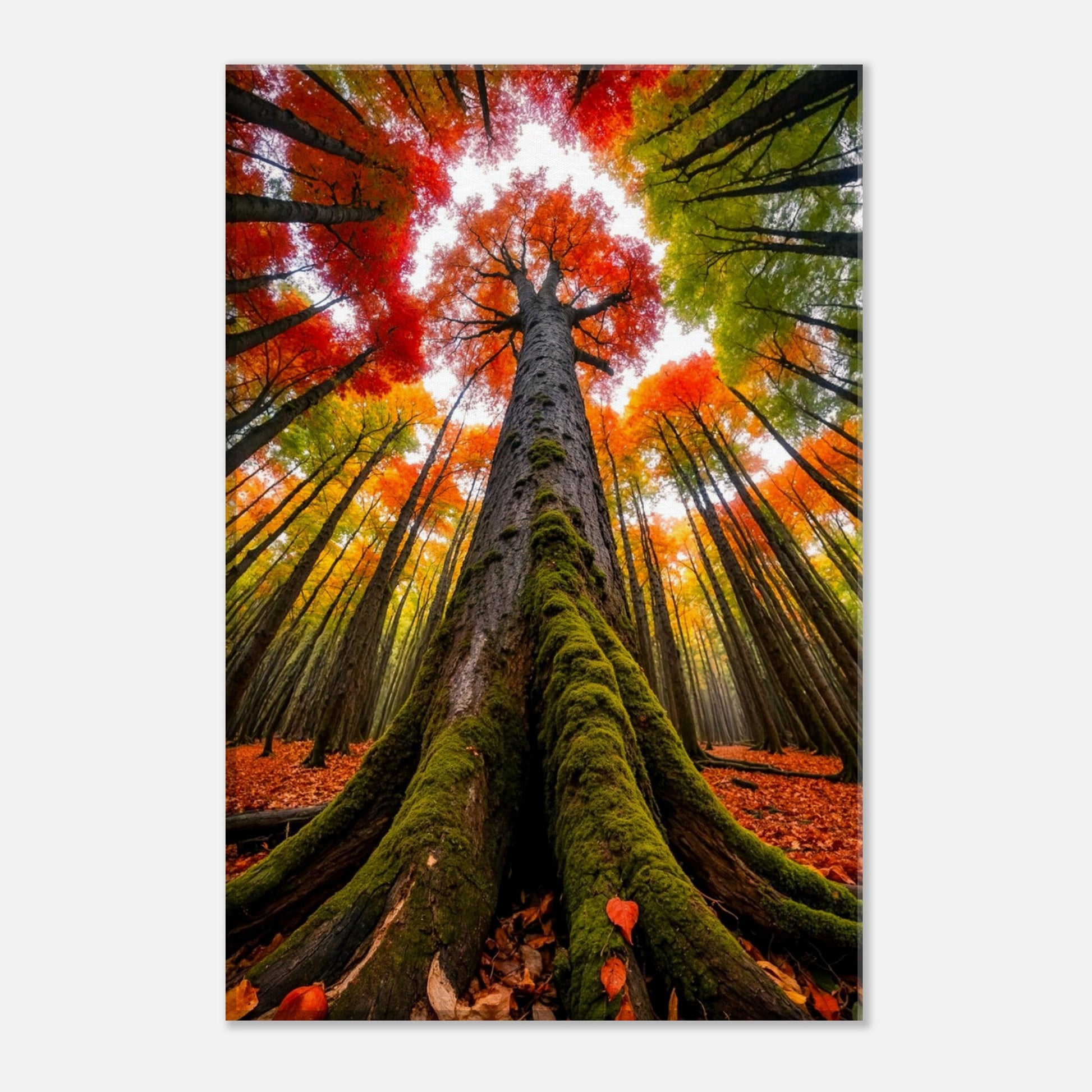 bcf701e8-636f-42e2-9a76-6d6b7232e13f