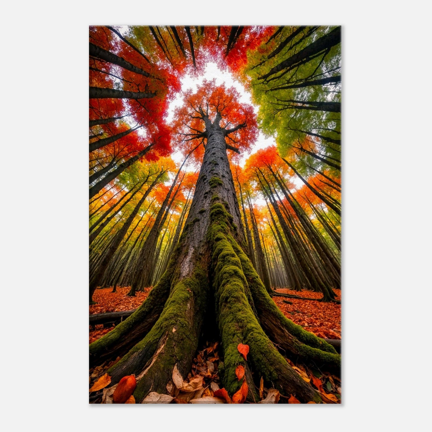 c3ac547d-aac9-45af-bf50-d4d943ea5ffc