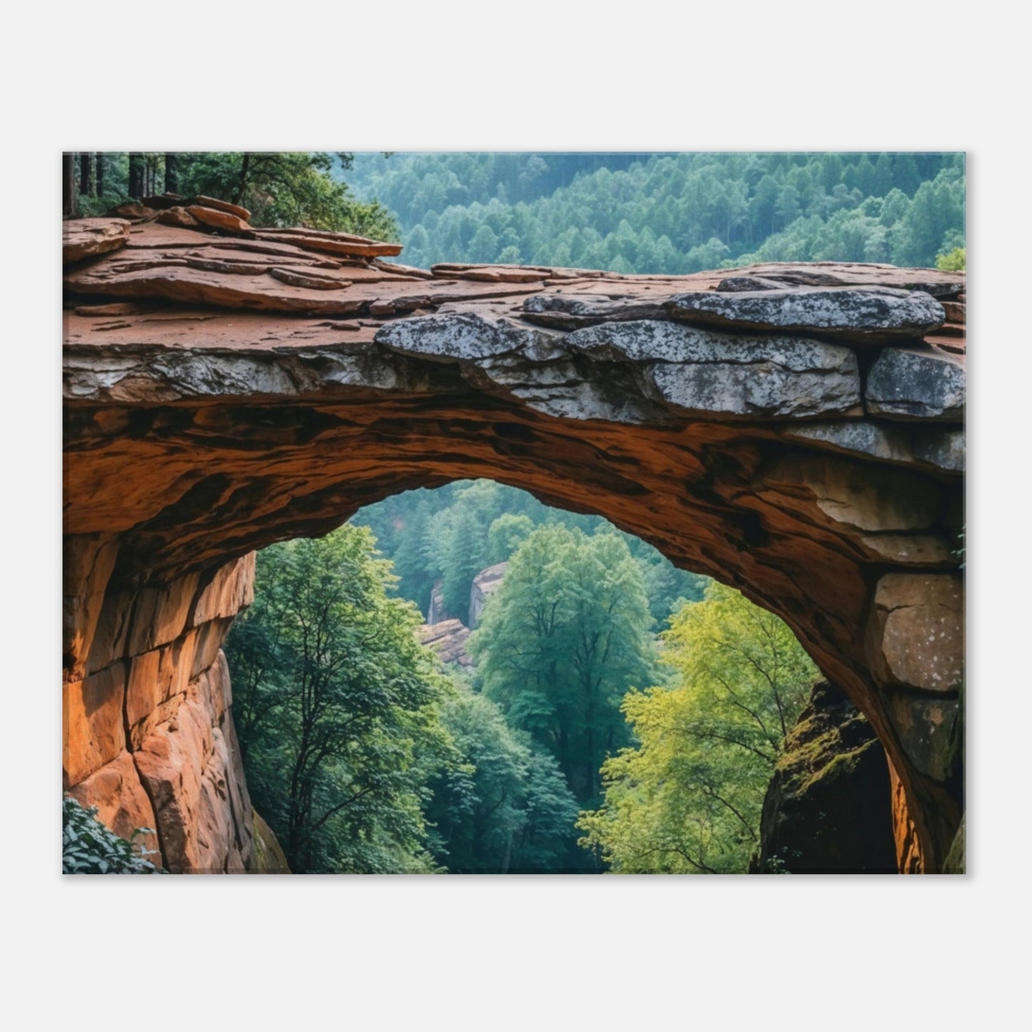 e7fb57b3-1164-4305-915a-c59f291e059c